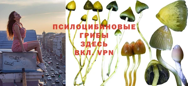 кристаллы Алексеевка